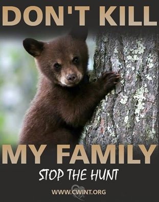 CUB-DONT-KILL-MY-FAMILY.jpg