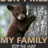 CUB-DONT-KILL-MY-FAMILY