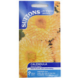 Calendula-Apricot-set-of-1-1