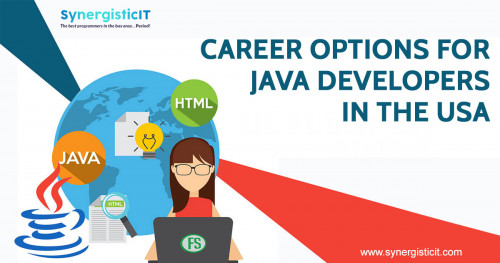 Career-Options-for-Java-Developers-in-the-USA.jpg