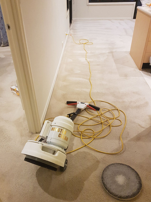 Carpet cleaning ringwood Gifyu