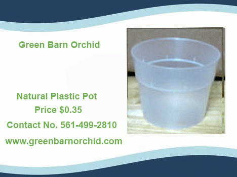 Clear orchid pots for sale online at a low price in Green Barn Orchid Supplies online store. Here you can find all varieties of clear orchid pots for your orchids. For more product details call at 561-499-2810 or visit our website: http://shop.greenbarnorchid.com/category.sc?categoryId=3