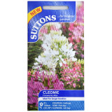 Cleome-Fireworks-Mix-set-of-1-1