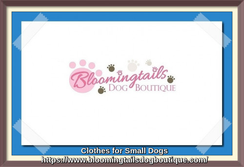 Shop our great selection of clothes for small dogs with fast shipping and great prices at our online store. https://bit.ly/3UZjKEc
