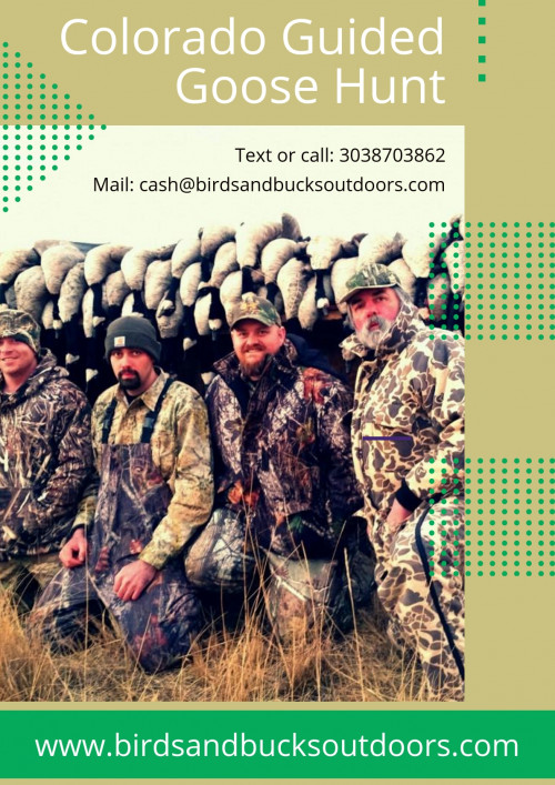 Make your hunting experience unforgettable with the leading Colorado Guided Goose Hunt, Birds and Bucks Outdoors. B&B also offers gears and types of equipment for Goose hunting in Colorado. 
https://www.birdsandbucksoutdoors.com/colorado-goose-hunting-guides/
#Goose_Hunting
