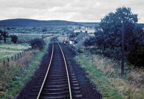 Crooks-Crossing-Rothbury-Branch-Sharpenx4_Small.jpg