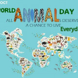 DAY-ANIMALS