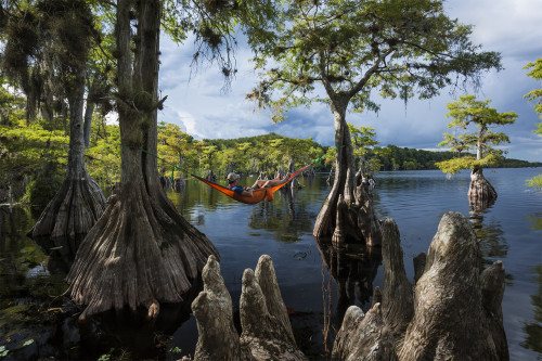 Hammock camping on a lake in Central Florida. This image was created with multiple exposures to full