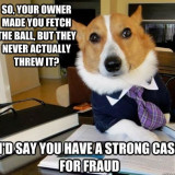 DOG-FAKE-THROW-FRAUD