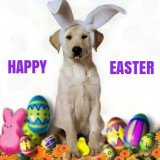 DOG-HAPPY-EASTER