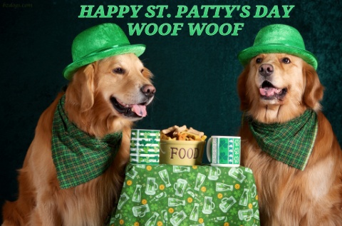 DOG-ST.-PATTYS-DAY.jpg