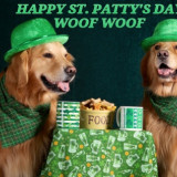 DOG-ST.-PATTYS-DAY