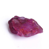 DP-366