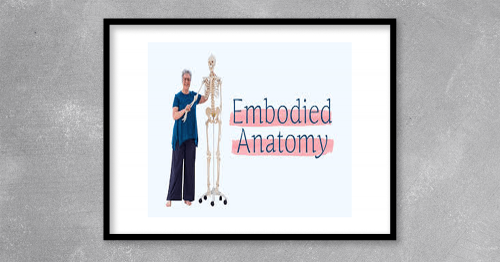 Embodied-Anatomy.png