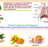Emphysema-Cure-Home-Remedies