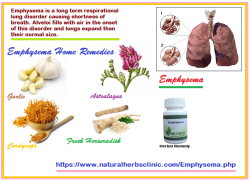 Certain home remedies have been found helpful in the treatment of emphysema. The most remarkable of these Emphysema Home Remedies is the use of home ingredients.... https://herbalresource.livejournal.com/4099.html