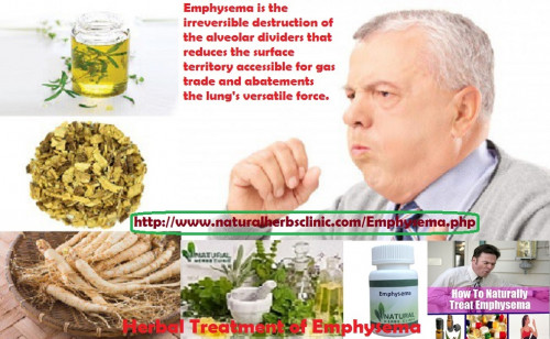 Ginseng has been recognized as a vital and tremendously useful herb for a portion of diseases including emphysema. The herb is accessible in dissimilar species, and several of them have confirmed to be Emphysema Home Remedies and other lung disorders.... http://emphysemaherbaltreatment.blogspot.com/2017/03/possible-simple-cure-for-emphysema.html