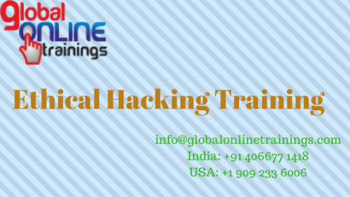 Ethical Hacking Training