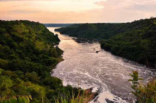 Evening_Nile_River_Uganda.jpg