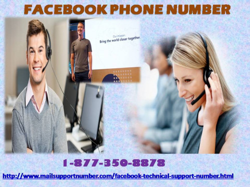If you want to know about the top Facebook stories, then don’t be hesitate in dialling our Facebook Phone Number 1-877-350-8878 to get our free of cost support. Here is the only place where you will get the finest solution in no time. So, without bringing any second thought in your mind grab our service now. For more information: - http://www.mailsupportnumber.com/facebook-technical-support-number.html