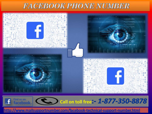 Do you want to delete chat from Facebook? Don’t know to do the same? If you say yes, then you don’t need to think too much. You only need to do a very simple work, just dial our Facebook Phone Number 1-877-350-8878 and connect with our technical techies who will definitely help you out in this particular problem. For more information: - http://www.mailsupportnumber.com/facebook-technical-support-number.html