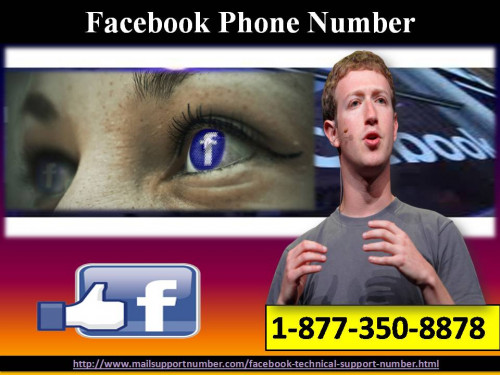 People decide to change Facebook profile name only in one condition that is when he/she get married. So, if you want to rename your Facebook profile name but don’t know how, then be relaxed as we have talented and expert technicians who are well-trained in solving out Facebook hiccups. All you have to place a call at Facebook Phone Number 1-877-350-8878 only. For more information: - http://www.mailsupportnumber.com/facebook-technical-support-number.html