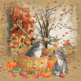 FALL-CATS