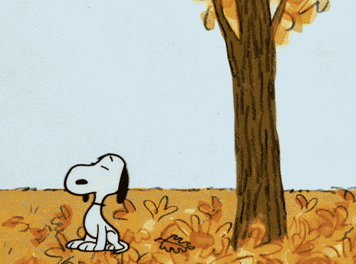 FALL SNOOPY