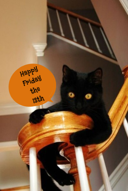 FRIDAY-THE-13TH-BLACK-CAT.jpg