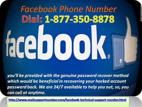 Facebook Phone Number 1 877 350 8878 (1)