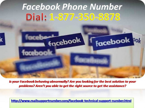 Facebook Phone Number 1 877 350 8878 (10)