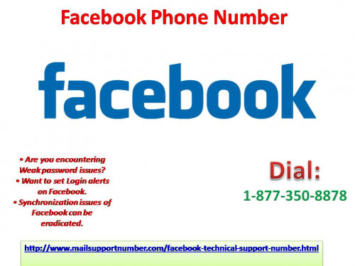 You are silent towards Facebook issues? Gather the courage to fight with them in a proper manner. You need aid for this? We are present here to extirpate your issues in a quick manner with the help of our diligent techies via our Facebook Phone Number 1-877-350-8878. And after having one to one conversation all the darkness of ignorance will fade away at once. For more information: - http://www.mailsupportnumber.com/facebook-technical-support-number.html