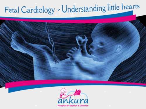 "Fetal Cardiology" is a specialized branch of medicine that deals with the evaluation and management of heart problems in the unborn baby while still in the womb of the mother.

http://www.ankurahospital.com/fetal-cardiology