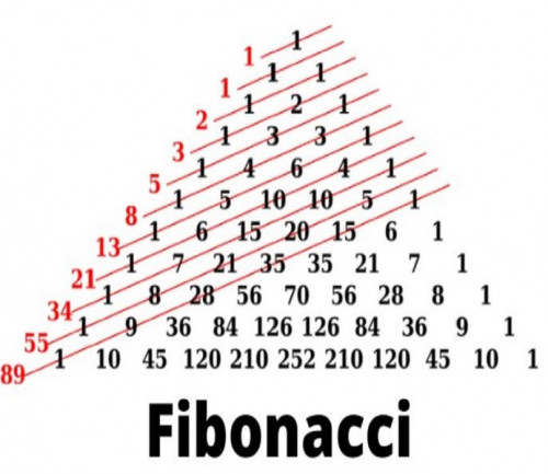 Fibonacci-la-gi-1.jpg