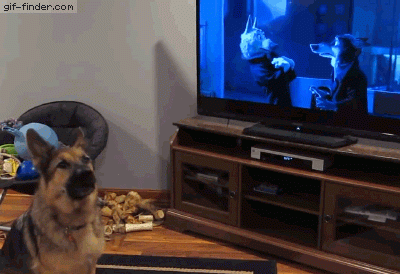 GS-HOWLING-AT-TV.gif