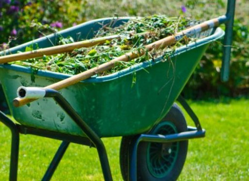 Gardeners-Dublin.jpg