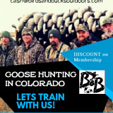 Goose-Hunting-in-Colorado