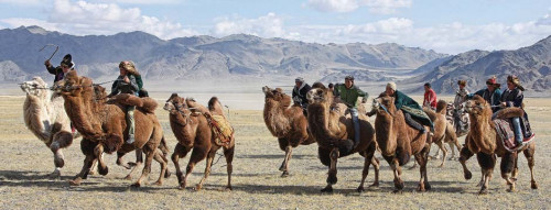 Goyo-Travel--Mongolia-Group-Tours-Providing-a-Bit-of-Everything.jpg