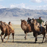 Goyo-Travel--Mongolia-Group-Tours-Providing-a-Bit-of-Everything