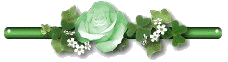 Green rosex228x62