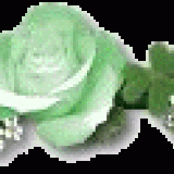 Green-rosex228x62