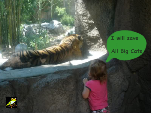 HOPE-SAVE-ALL-BIG-CATS.jpg