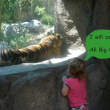 HOPE-SAVE-ALL-BIG-CATS