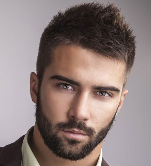 Hairstyles-For-Men-with-Beards-Professional-Beard.jpg