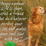 Happy-weekend-dog