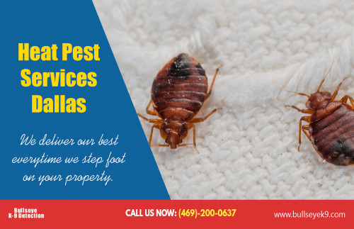 Heat-Pest-services-Dallas.jpg