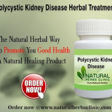 Herbal-Treatment-for-Polycystic-Kidney-Disease