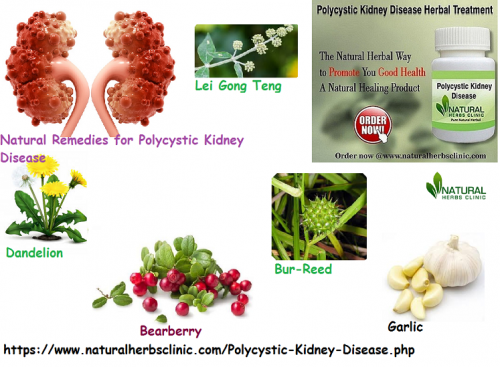 Dandelion is a very important herb element used in Natural Remedies for Polycystic Kidney Disease and much another disease... https://www.godry.co.uk/profiles/blogs/natural-remedies-for-polycystic-kidney-disease-to-get-the