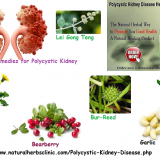 How-to-Treat-Polycystic-Kidney-Disease-Naturally-with-Natural-Remedies