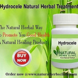Hydrocele-Herbal-Treatment